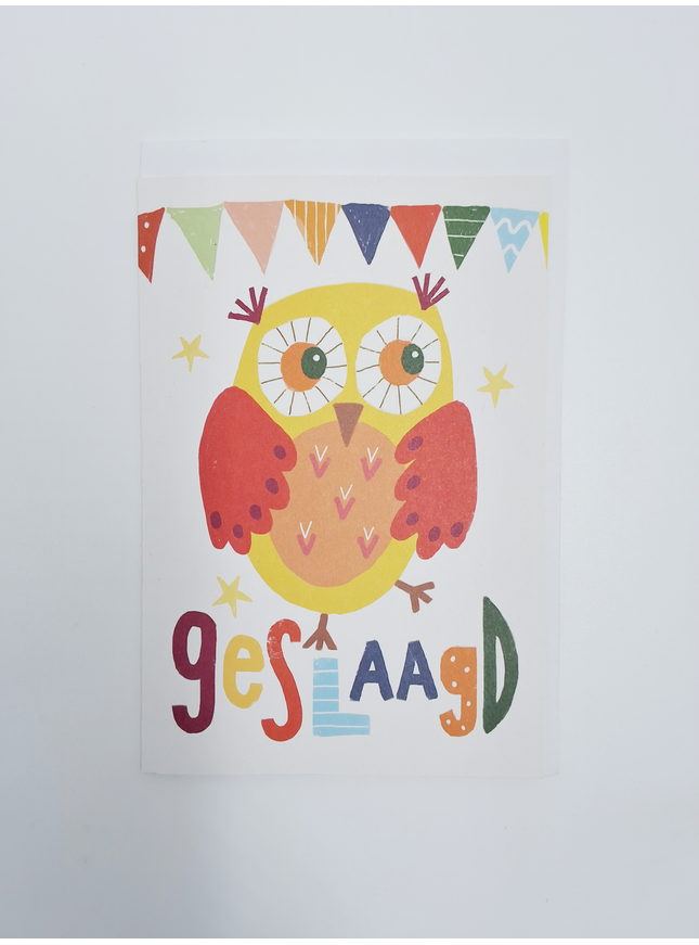 Wenskaart geslaagd uil (F15002)