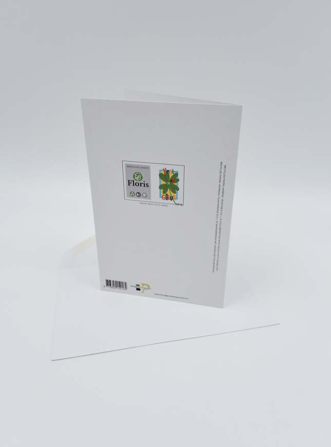 Wenskaart veel geluk klavertje 4 (F15016)