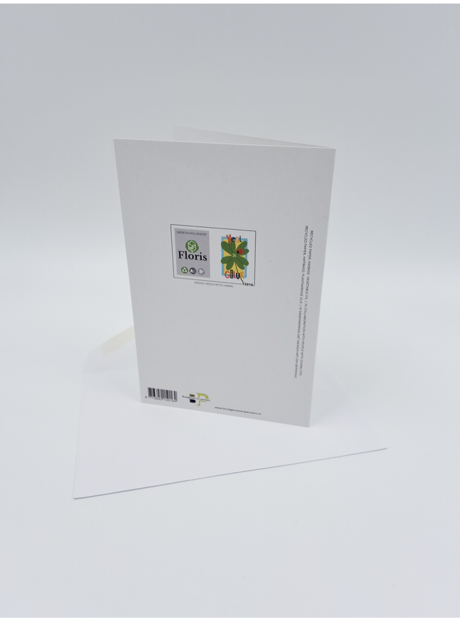 Wenskaart veel geluk klavertje 4 (F15016)