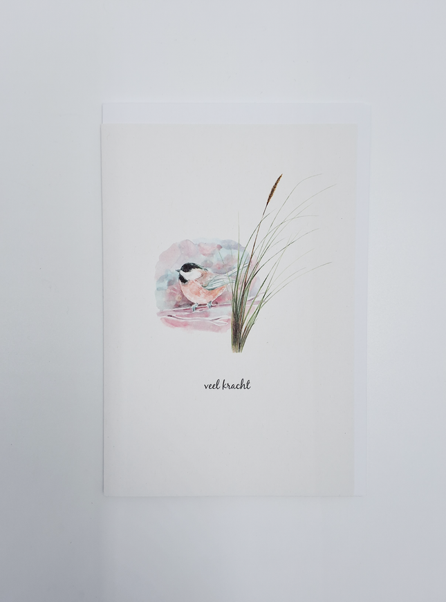 wenskaart vogel, veel kracht (F15201)