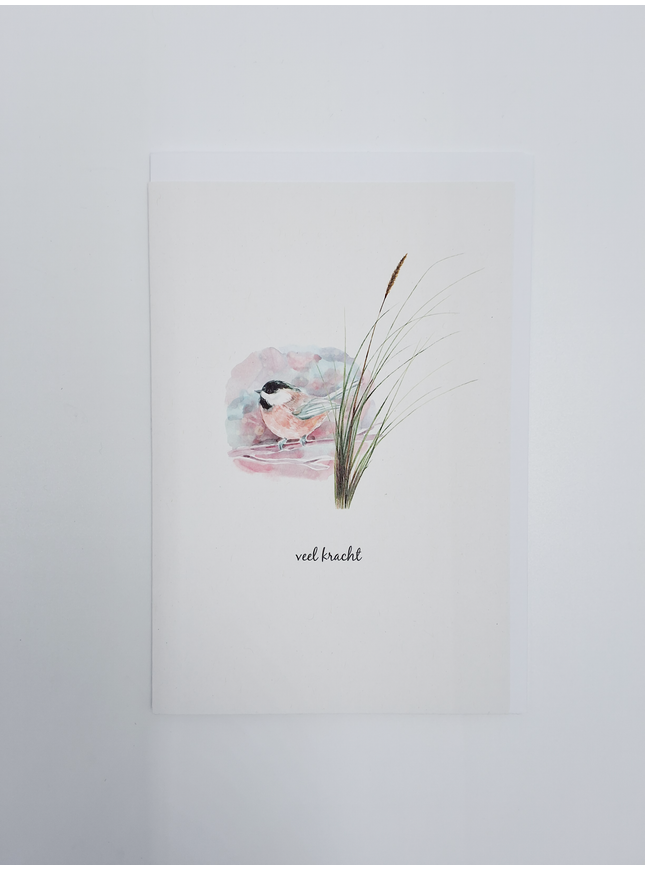 wenskaart vogel, veel kracht (F15201)