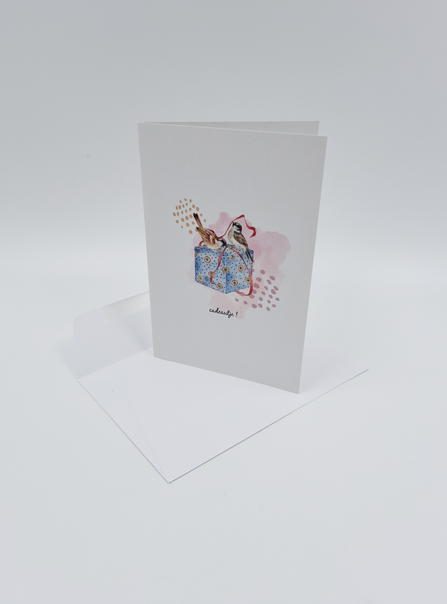 wenskaart vogeltjes en cadeau (F15224)