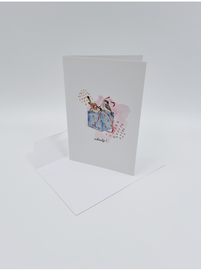 wenskaart vogeltjes en cadeau (F15224)