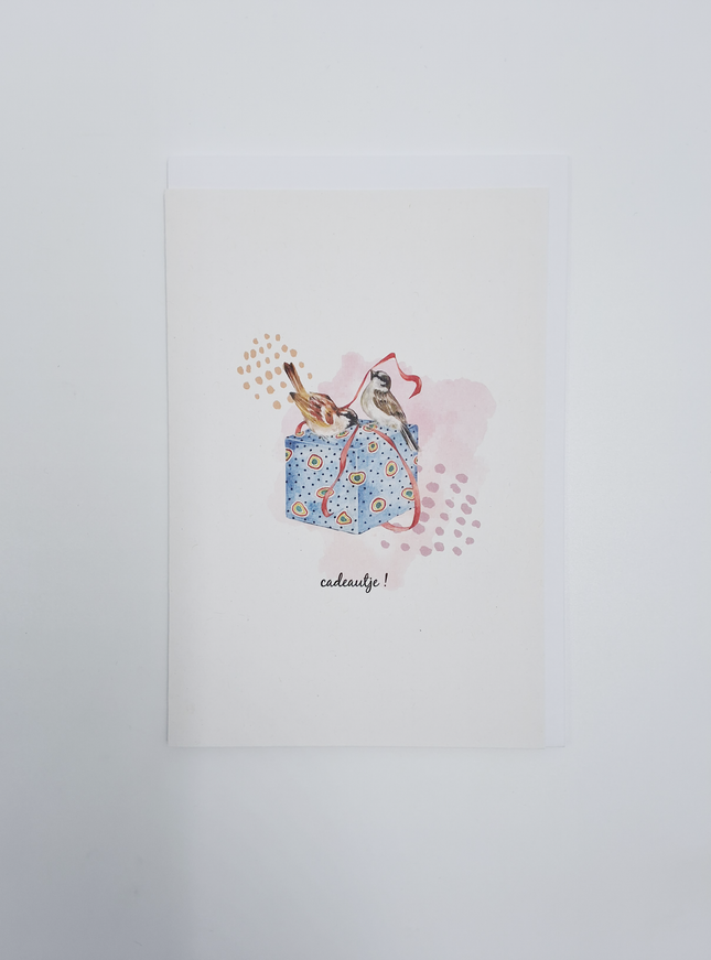 wenskaart vogeltjes en cadeau (F15224)