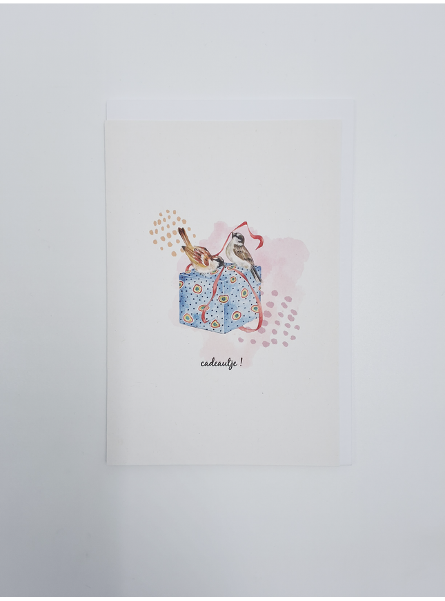 wenskaart vogeltjes en cadeau (F15224)