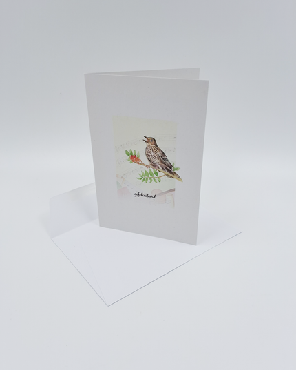 wenskaart vogel, gefeliciteerd (F15225)
