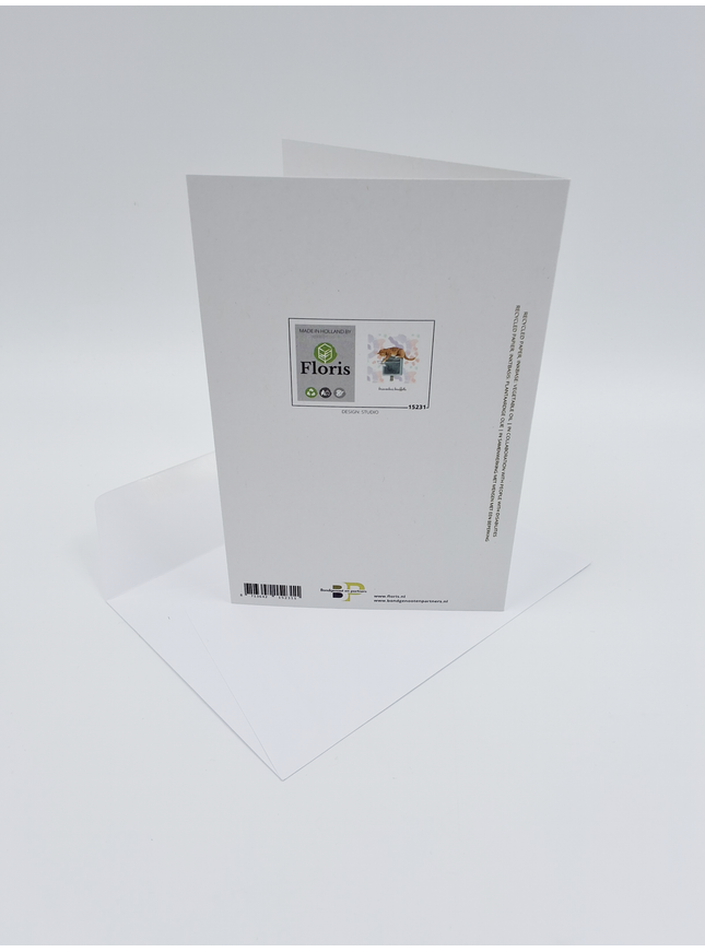 Carte de vœux chat, peluches à glisser dans la boîte aux lettres