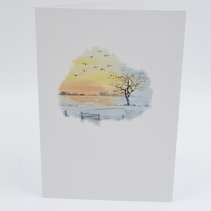 Collection image for: Wenskaarten NIEUW