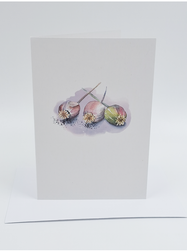 Carte de vœux tulipes