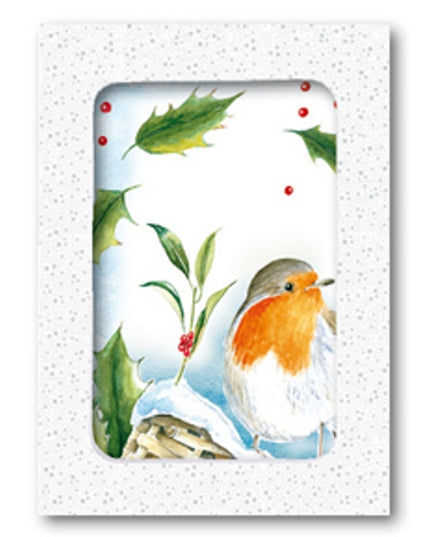 Christmas card box 10x robin holly (F12881)