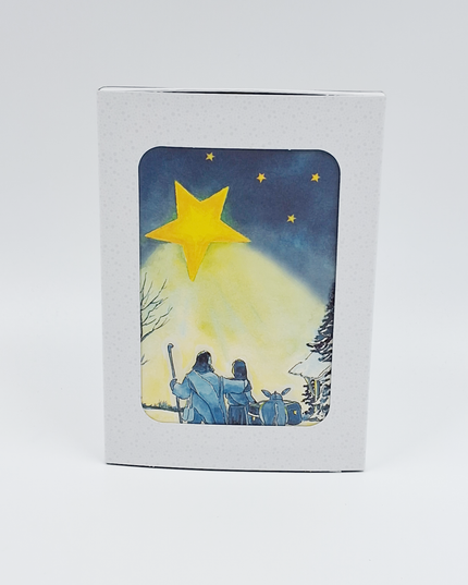 Christmas card box 10x donkey Joseph Mary (F12963)