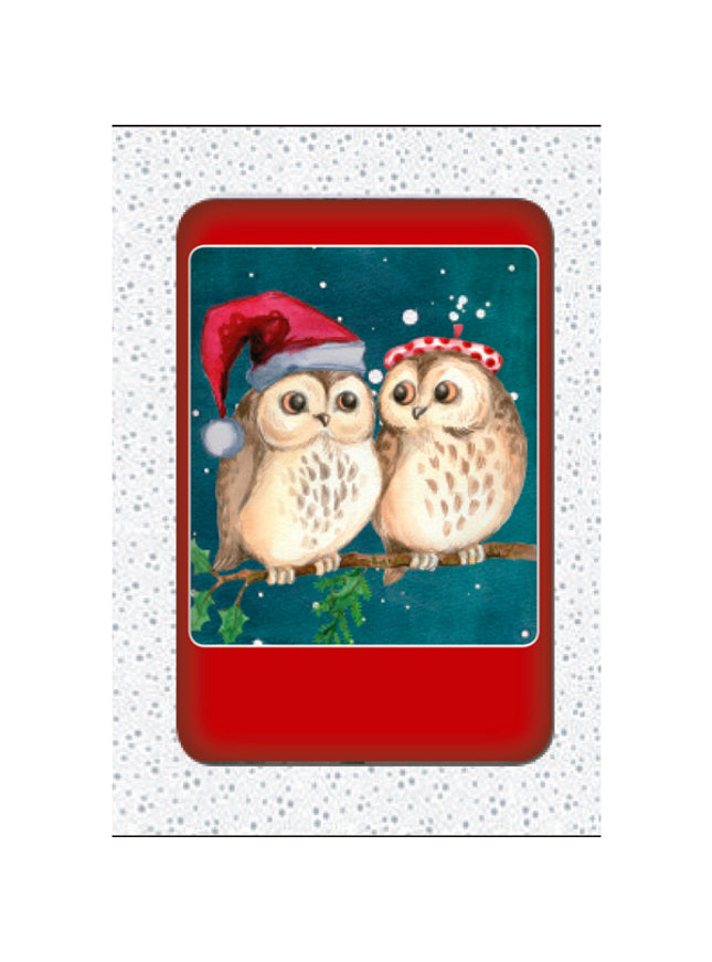 Kerstkaarten doosje 10x twee uilen (F13039)