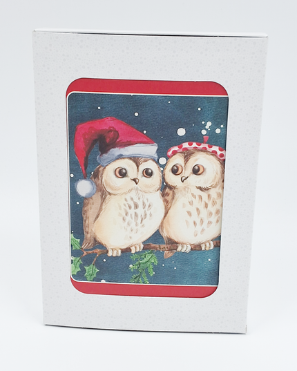 Christmas card box 10x two owls (F13039)