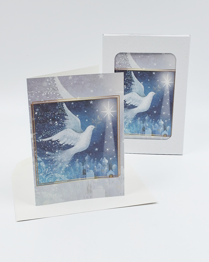 Christmas card box 10x dove with star F13040)