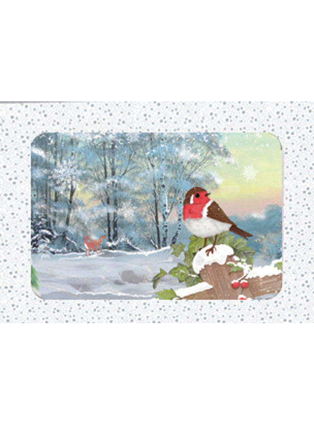 Kerstkaarten doosje 10x roodborstje (F13082)