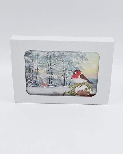 Kerstkaarten doosje 10x roodborstje (F13082)