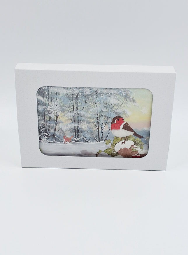 Kerstkaarten doosje 10x roodborstje (F13082)
