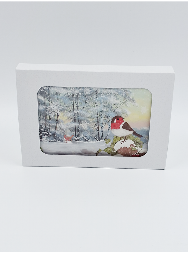 Kerstkaarten doosje 10x roodborstje (F13082)