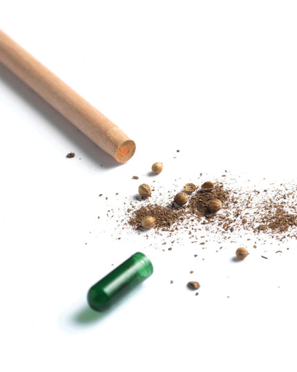 Sprout potlood met zaden - koriander