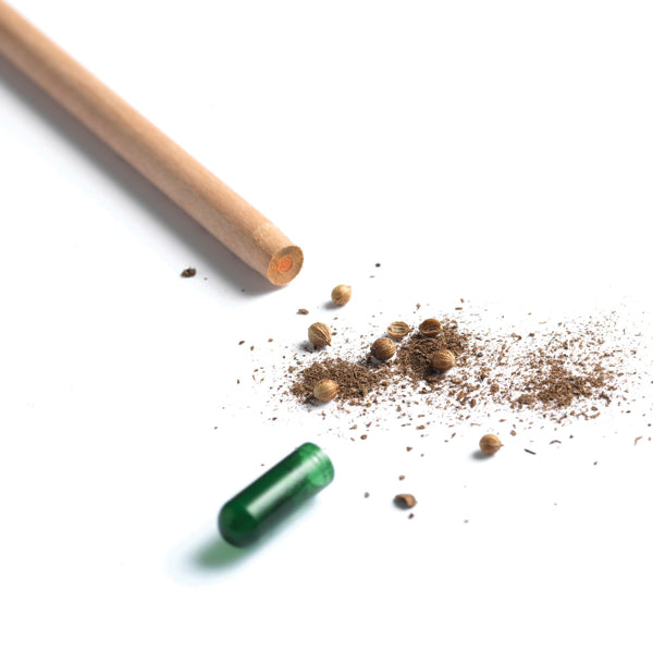 Sprout potlood met zaden - zonnebloem