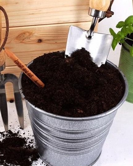 Sprout potlood met zaden - tijm