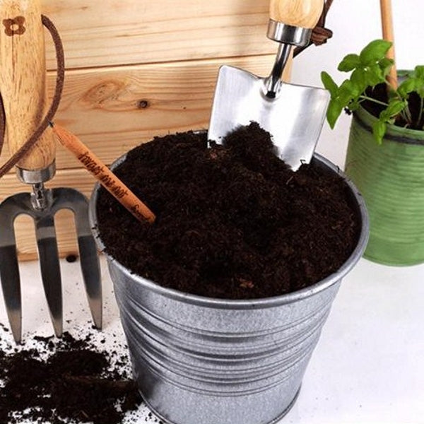 Sprout potlood met zaden - zonnebloem