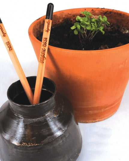 Sprout potlood met zaden - basilicum