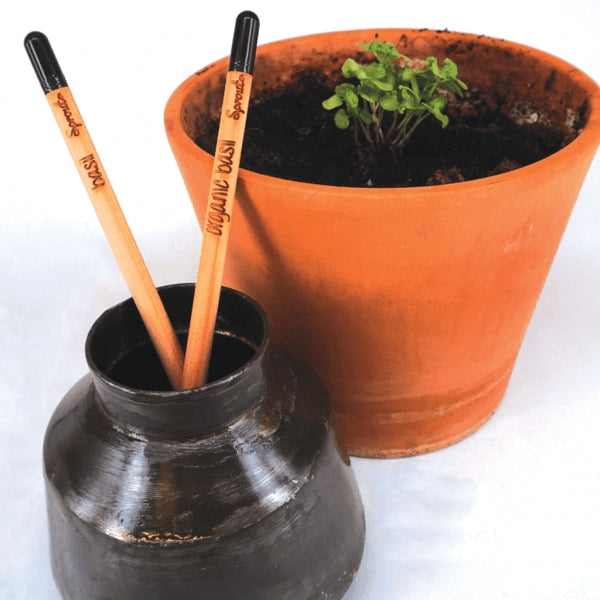 Sprout potlood met zaden - basilicum