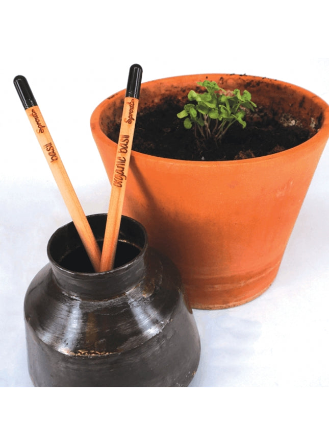 Sprout potlood met zaden - basilicum